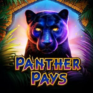 Panther Pays
